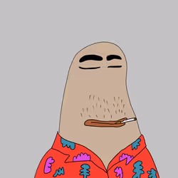 264