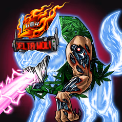 51