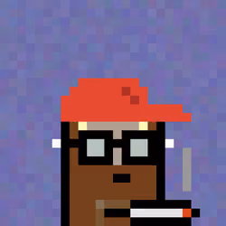 Tiptoez #1149