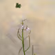 Learning Nature (b37,3095,1)