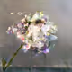 Learning Nature (b31,2086,13)