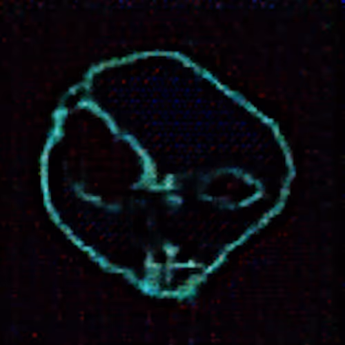 Representation of the Entity (v.1)