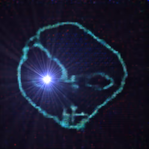 Representation of the Entity (v.4)