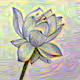 Rainbow flower.