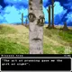 Blessed Tree