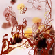 Nodes