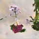 Learning Nature (b37,3092,11)