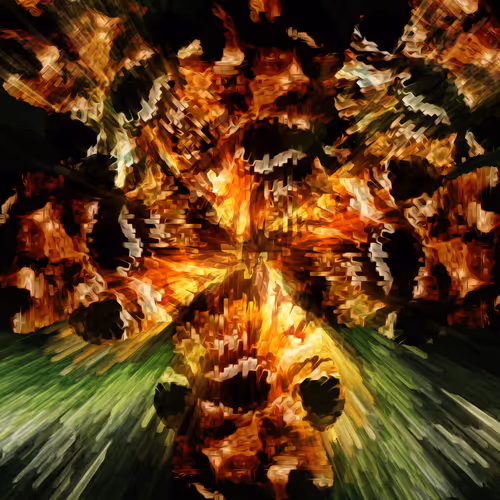Explosion of madness