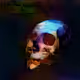 1569