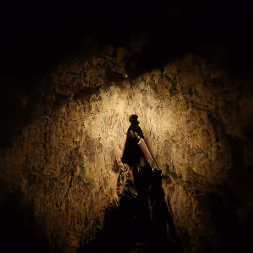 The Mysterious Courier