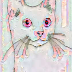My lovely cat