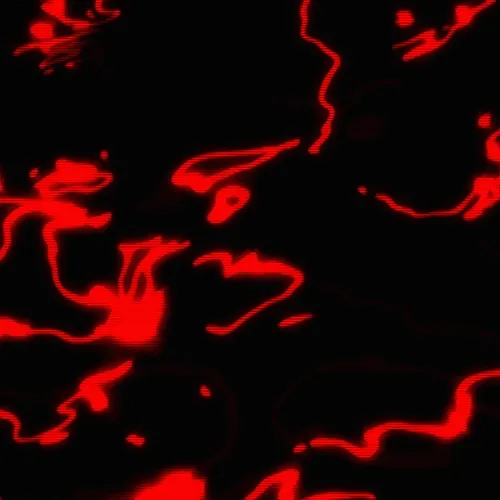 Cerebral Scribble . Red