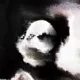 2494
