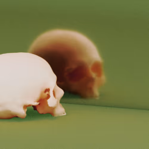 Vanitas - Skull and mirror