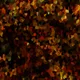 Bloody autumn