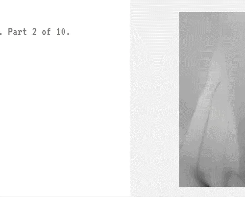 Sometime in the future