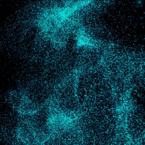 Digital LSD - Synthesis_Batch_20190505