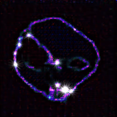 Representation of the Entity (v.3)