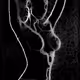 Female Figure