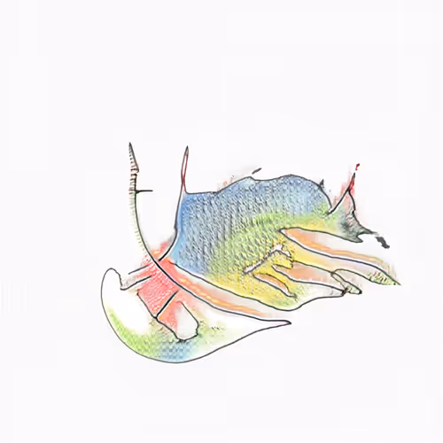 Hopeful Beasts Artificial Emergence