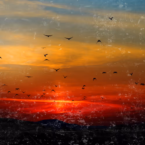 TR Digital Graphic Art & Photography Collection