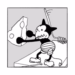 557