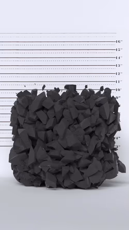 Item #16500010174 Media