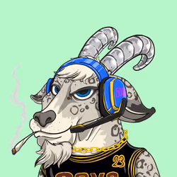 Bad Billy Goats #1650