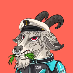 Bad Billy Goats #11