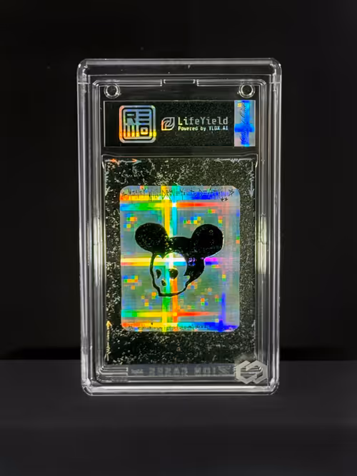Item #17 Media