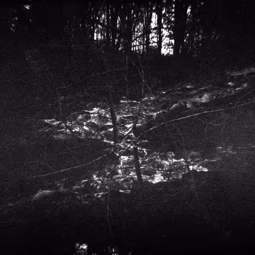 Unidentified Contract Z4smprxnqw