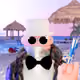 4360