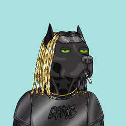17555
