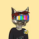 724