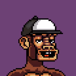 Monkey Republic #395