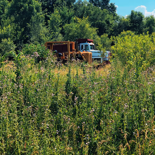 Meditations - omybQxcFZA