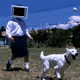 fetch