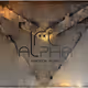 46