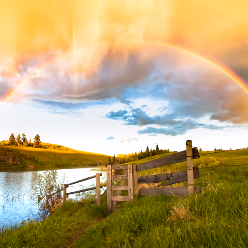 Nature Dave Markel