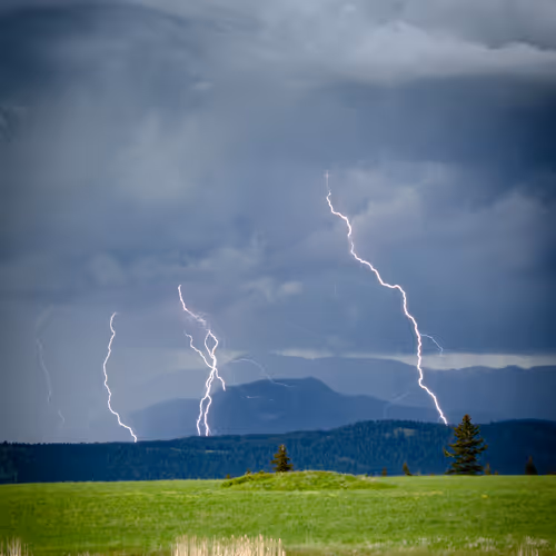 Nature Dave Markel