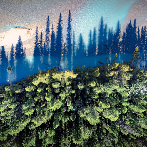Nature Dave Markel