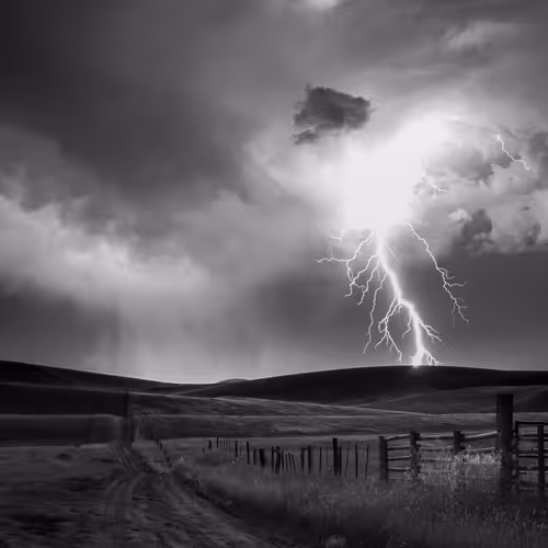 Nature Dave Markel