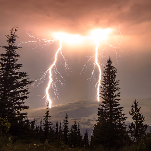 Nature Dave Markel