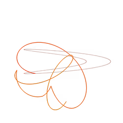 LOOP #05264
