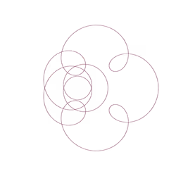 LOOP #05205