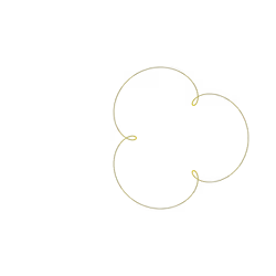 LOOP #03888