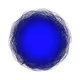 2028