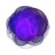 5206