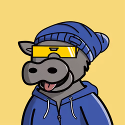 Bullsht #5