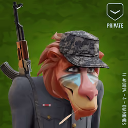 Happy Red Private Baboon #94